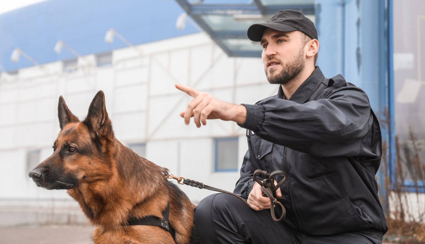 Maître de chien Police Métier Fonction Publique